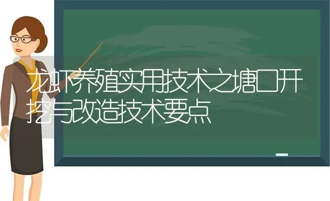 龙虾养殖实用技术之塘口开挖与改造技术要点 | 动物养殖百科