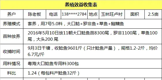 32斤！粤海大口鲶鱼新鱼出鱼包产量刷新玉林地区纪录