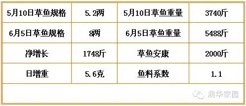 行情低迷 看草鱼安康如何帮助养殖朋友逆市赢利