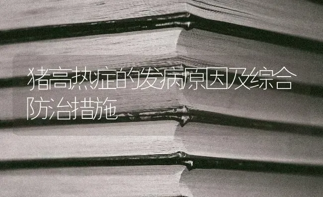 猪高热症的发病原因及综合防治措施 | 家畜养殖