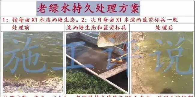 全国大面积高温天气，光照太长太强，池塘死藻多发的问题怎么解决？