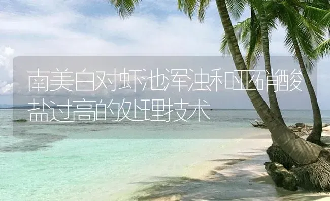 南美白对虾池浑浊和亚硝酸盐过高的处理技术 | 海水养殖