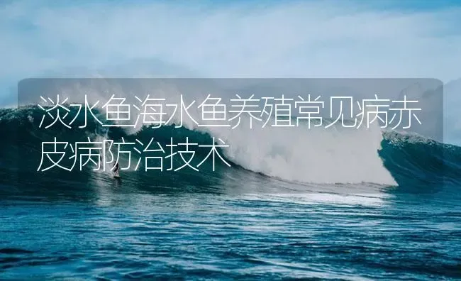 淡水鱼海水鱼养殖常见病赤皮病防治技术 | 养殖病虫害防治