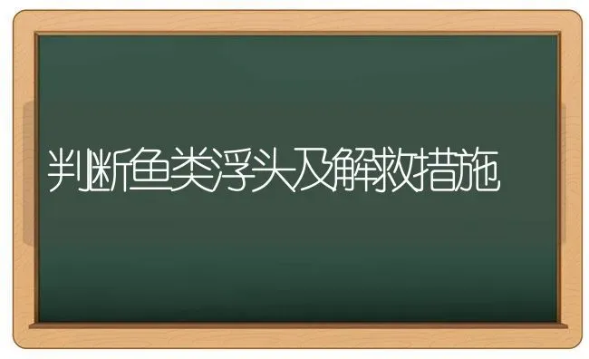 判断鱼类浮头及解救措施 | 淡水养殖