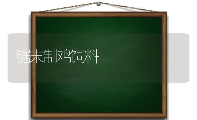 锯末制鸡饲料 | 家禽养殖