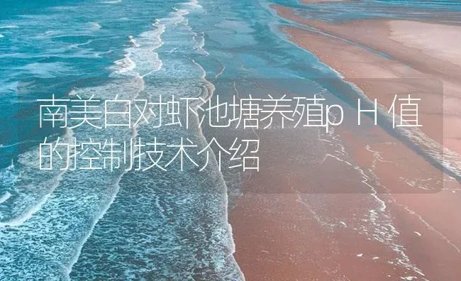 南美白对虾池塘养殖pH值的控制技术介绍 | 海水养殖