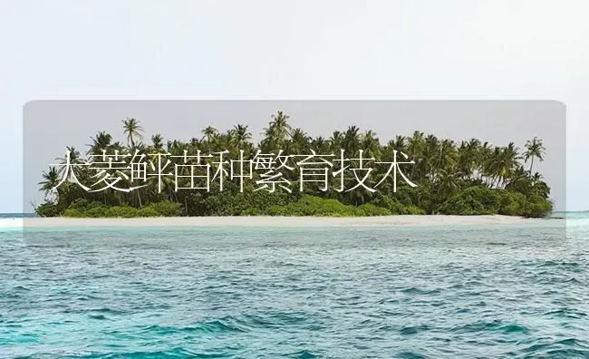 大菱鲆苗种繁育技术 | 海水养殖