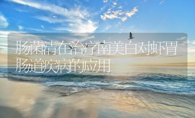 肠菌清在治疗南美白对虾胃肠道疾病的应用 | 海水养殖