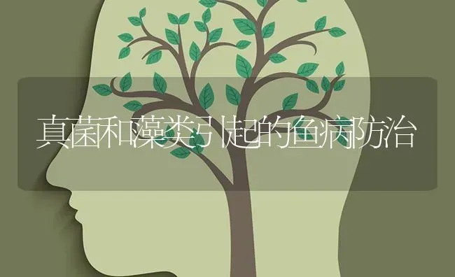 真菌和藻类引起的鱼病防治 | 淡水养殖