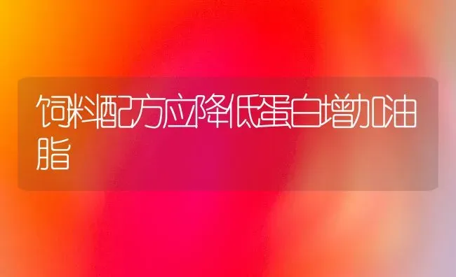 饲料配方应降低蛋白增加油脂 | 动物养殖饲料