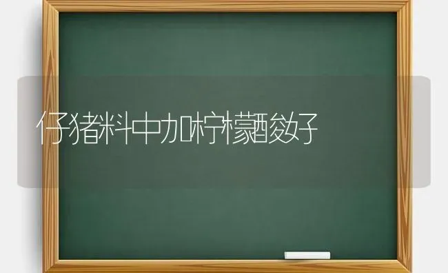 仔猪料中加柠檬酸好 | 家畜养殖