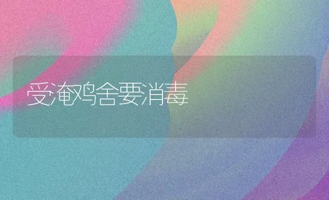 受淹鸡舍要消毒 | 家禽养殖