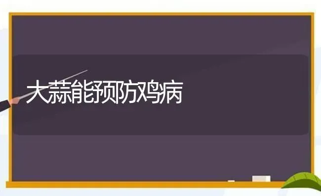 大蒜能预防鸡病 | 家禽养殖