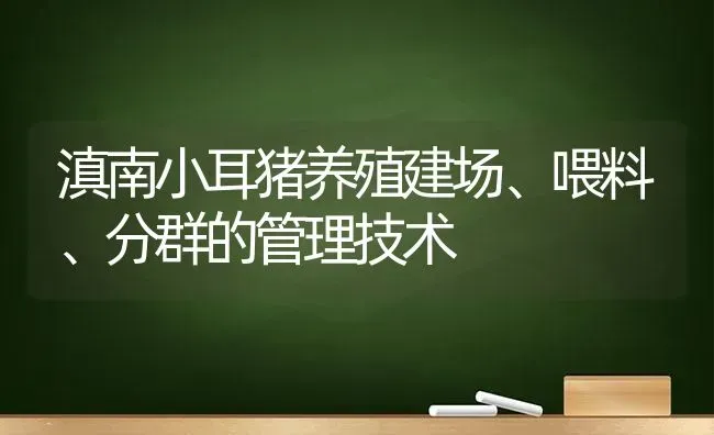 滇南小耳猪养殖建场、喂料、分群的管理技术 | 家畜养殖