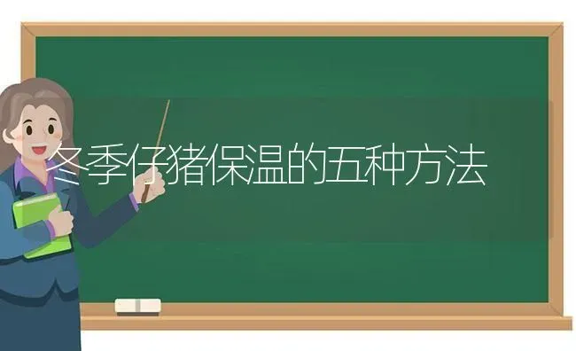 冬季仔猪保温的五种方法 | 家畜养殖