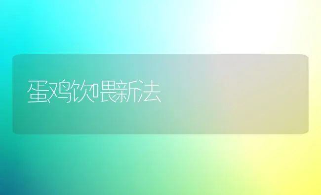 蛋鸡饮喂新法 | 家禽养殖
