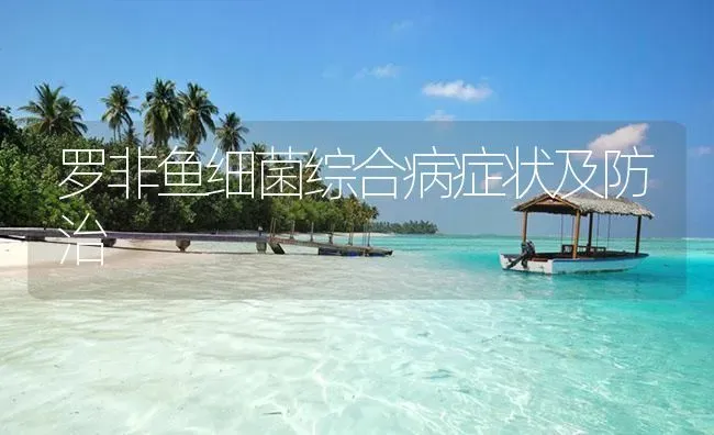 罗非鱼细菌综合病症状及防治 | 养殖病虫害防治