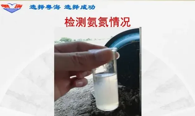 南美白对虾塘铁锈底质褐色水处理案例