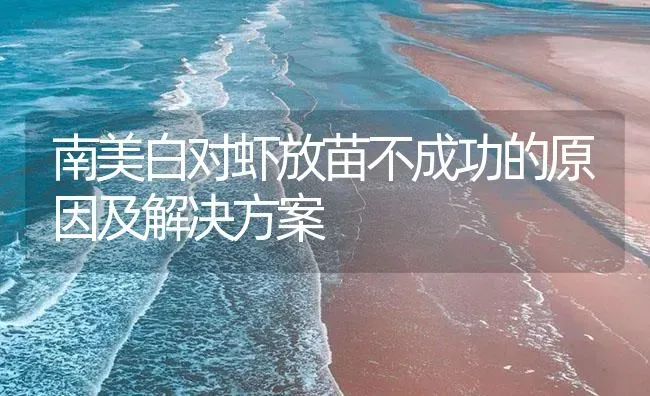 南美白对虾放苗不成功的原因及解决方案 | 海水养殖