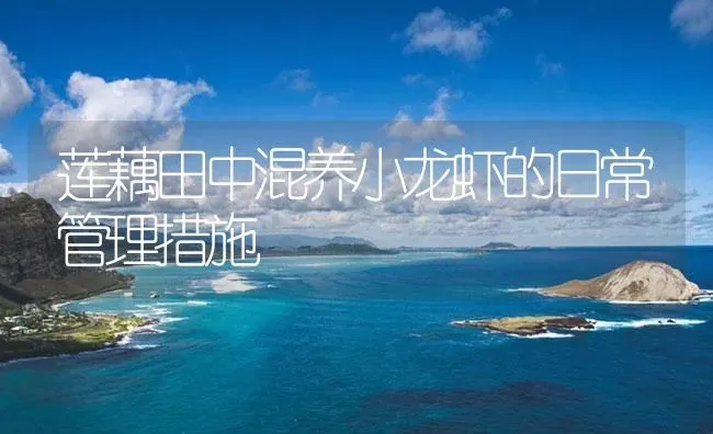 莲藕田中混养小龙虾的日常管理措施 | 海水养殖