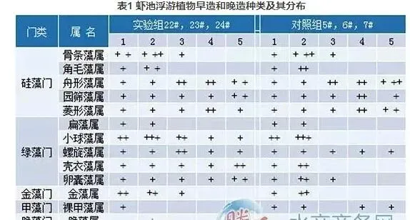 高位池鱼虾分体混养与普通对虾养殖效果对比