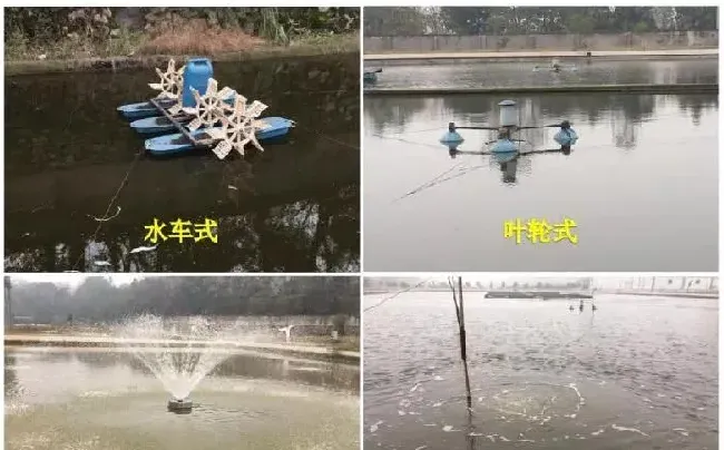 还在用传统增氧机？微孔曝气增氧机的优势明显