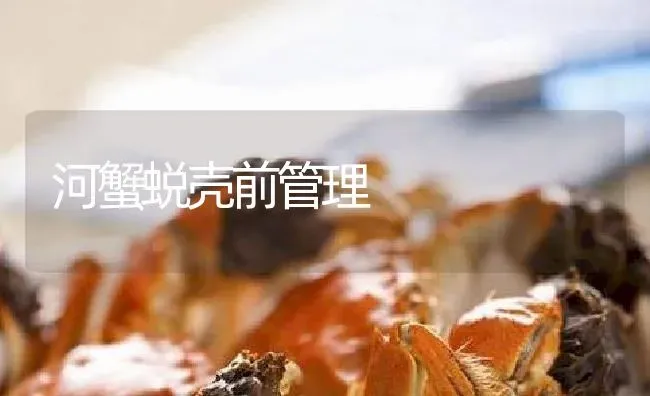 河蟹蜕壳前管理 | 淡水养殖