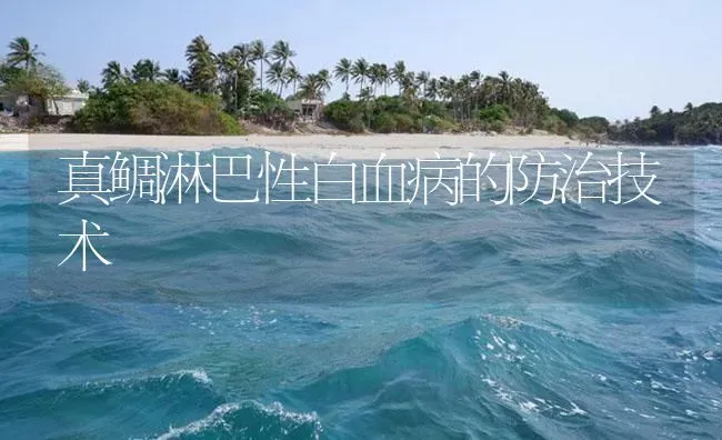 真鲷淋巴性白血病的防治技术 | 海水养殖