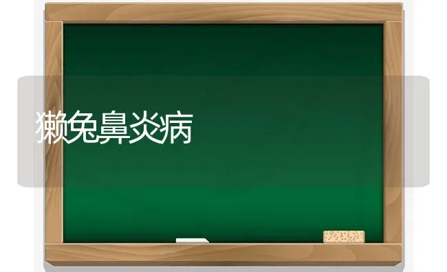 獭兔鼻炎病 | 家畜养殖