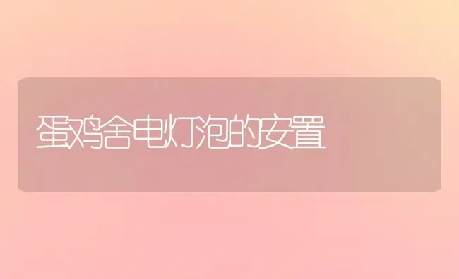 蛋鸡舍电灯泡的安置 | 家禽养殖