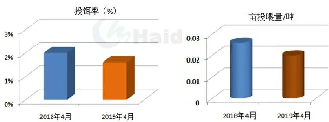 “病”临城下！2龄草鱼发病最为严重，草鱼也有黑色五月