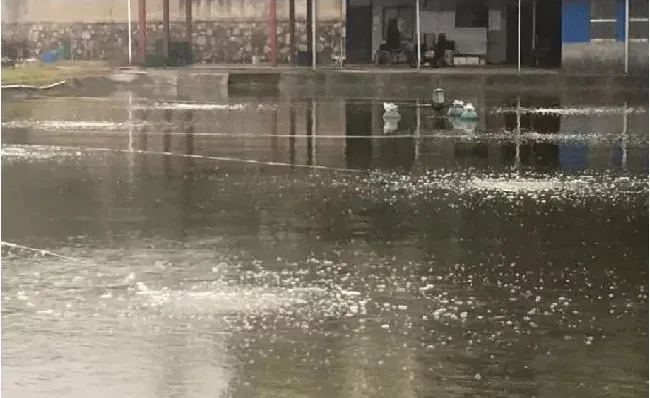 还在用传统增氧机？微孔曝气增氧机的优势明显