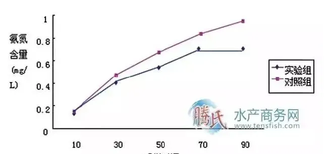 高位池鱼虾分体混养与普通对虾养殖效果对比