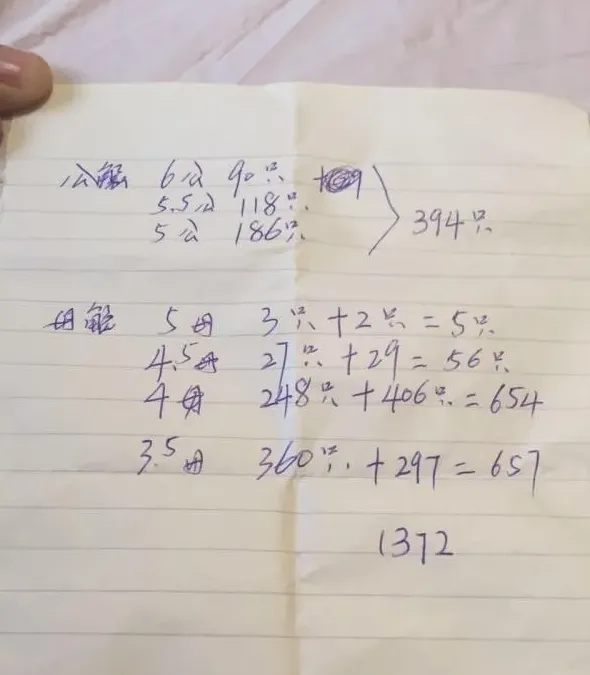 苗种基因牛，成蟹会大吗？追踪大规格父母本育种实验