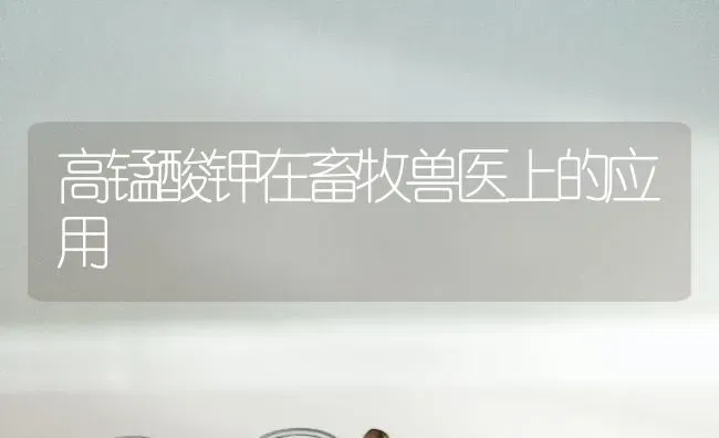 高锰酸钾在畜牧兽医上的应用 | 家畜养殖
