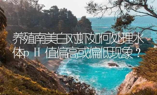 养殖南美白对虾如何处理水体pH值偏高或偏低现象？ | 海水养殖