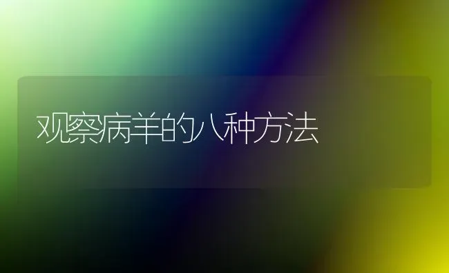 观察病羊的八种方法 | 家畜养殖