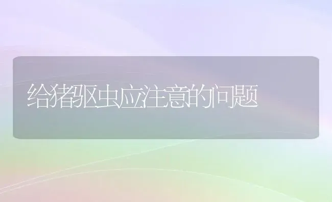 给猪驱虫应注意的问题 | 家畜养殖