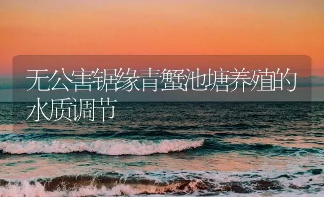 无公害锯缘青蟹池塘养殖的水质调节 | 海水养殖