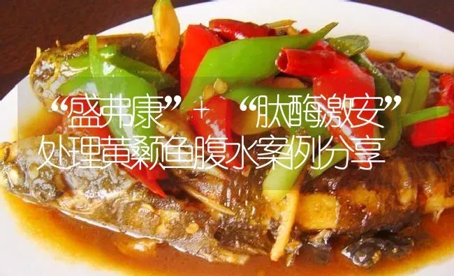 “盛弗康”+“肽酶激安”处理黄颡鱼腹水案例分享 | 淡水养殖