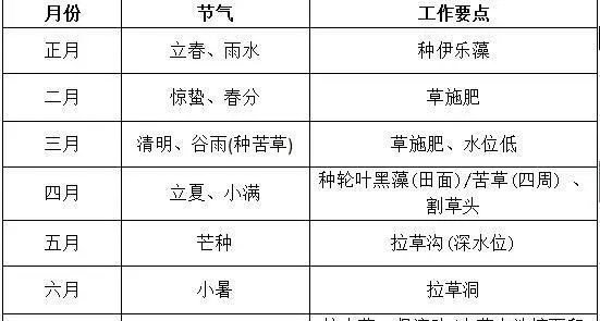 水草细节管理与关键控制要点