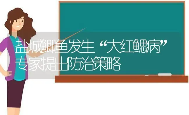 盐城鲫鱼发生“大红鳃病”专家提出防治策略 | 淡水养殖