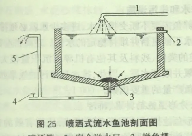 流水养鱼之鱼池建设