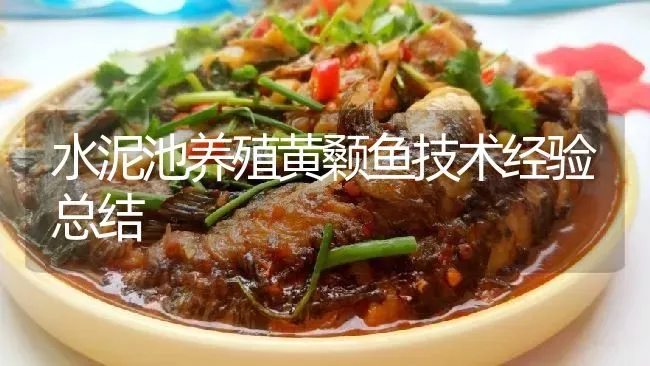 水泥池养殖黄颡鱼技术经验总结 | 淡水养殖