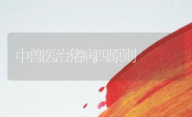中兽医治猪病四原则 | 家畜养殖