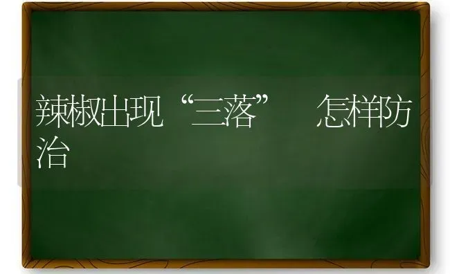 黄颡鱼池塘养殖新方法 | 淡水养殖