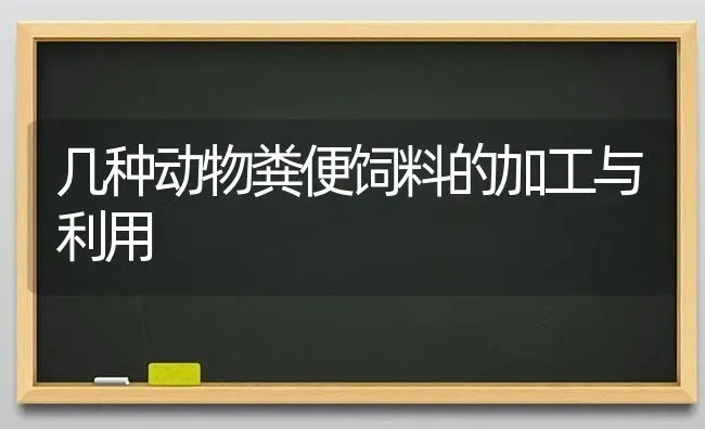 几种动物粪便饲料的加工与利用 | 动物养殖饲料