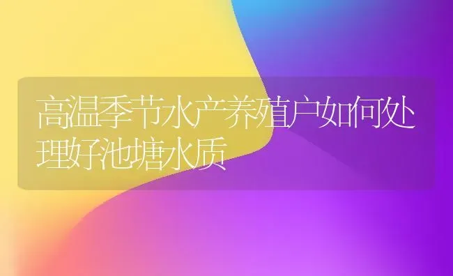 高温季节水产养殖户如何处理好池塘水质 | 动物养殖百科