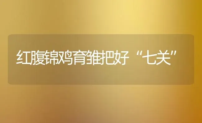 红腹锦鸡育雏把好“七关” | 家禽养殖