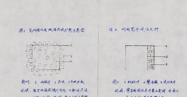 网箱养鱼外用药方法与效果